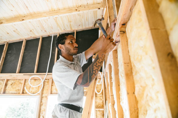 Best Professional Insulation Contractor  in Flora, AL