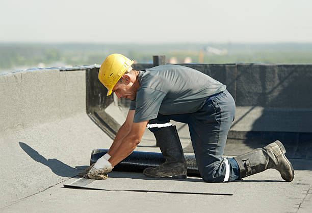 Best Home Insulation Services  in Flora, AL